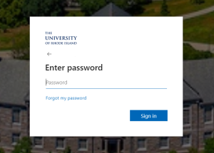 SSO Password Screen