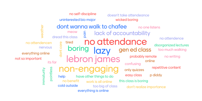 Screenshot image for word cloud from Mentimeter